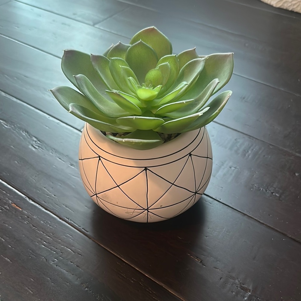 Geometric Planter with Green Succulent